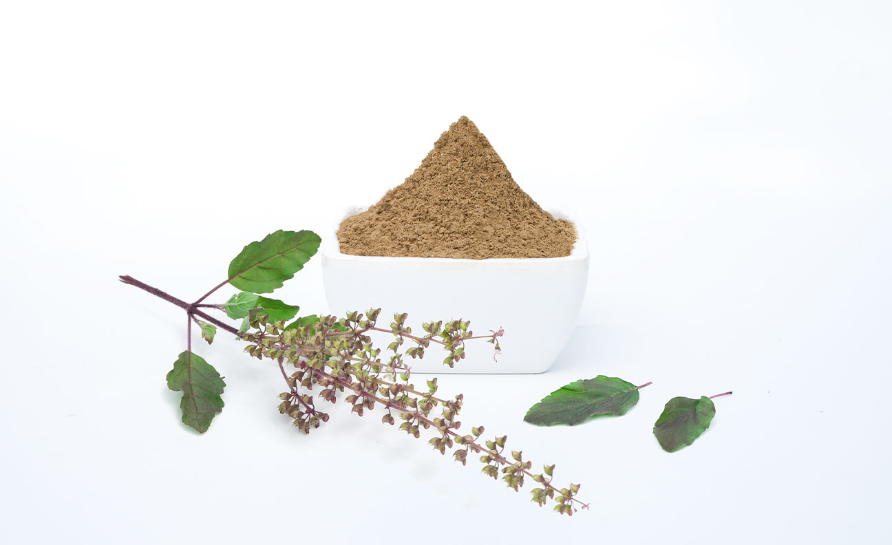 Tulsi Powder - Image 4